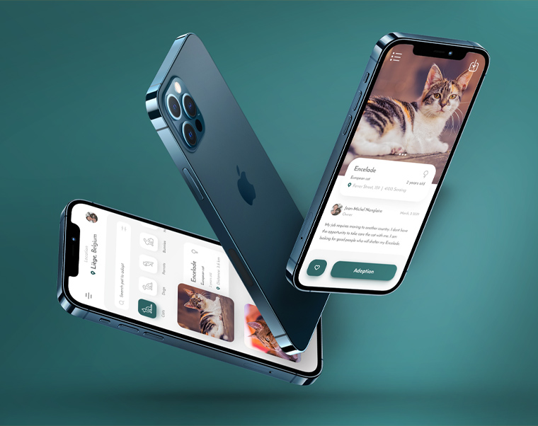 homepage_webdesign_layout-760x602-2