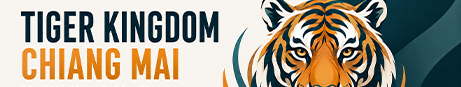 petadoption-featured-tiger-kingdom