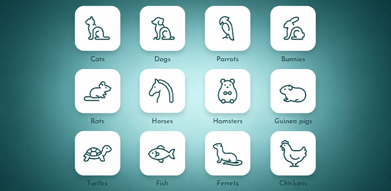 pet adoption icons